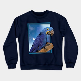 hyacinth macaw Crewneck Sweatshirt